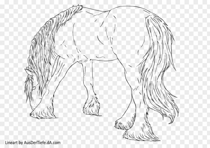 Mustang Pony Arabian Horse Draft Drawing PNG