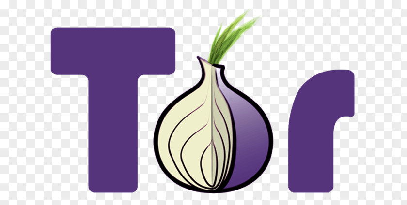 Silk Road Bitcoin Tor .onion Onion Routing Anonymity Web Browser PNG