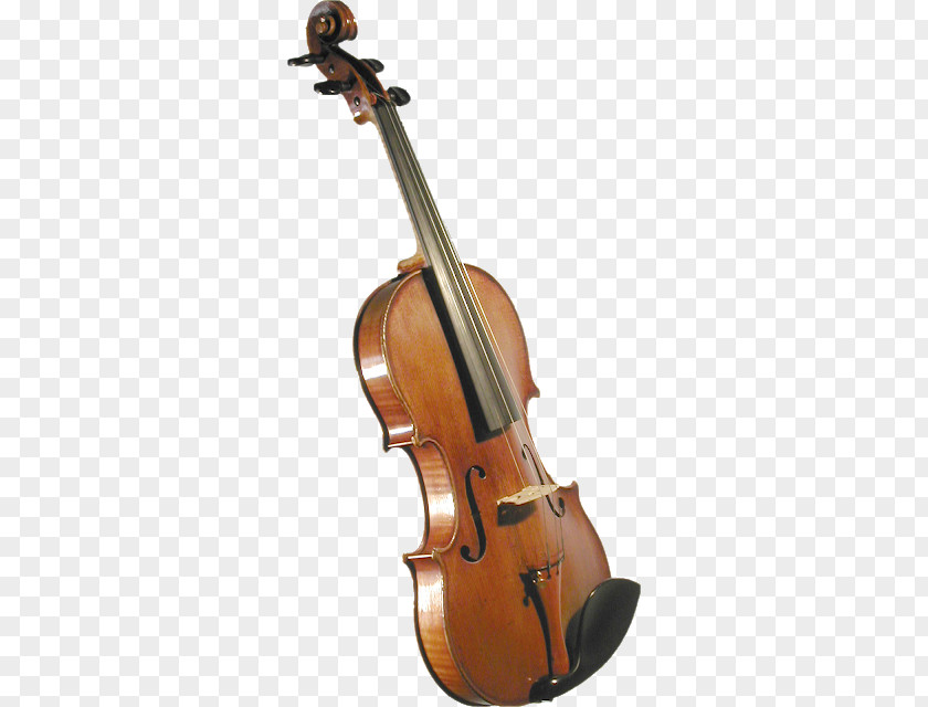 Violin Musical Instruments Viola Musician PNG