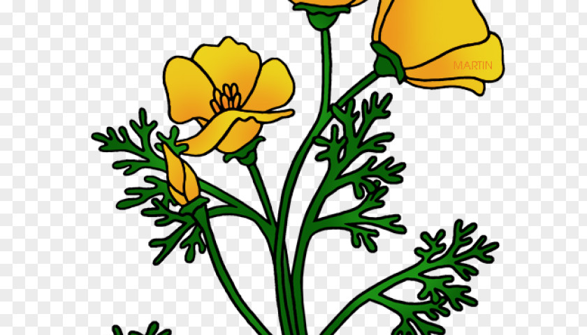 Wizard Of Oz Poppies Clip Art Openclipart Drawing Floral Design Free Content PNG