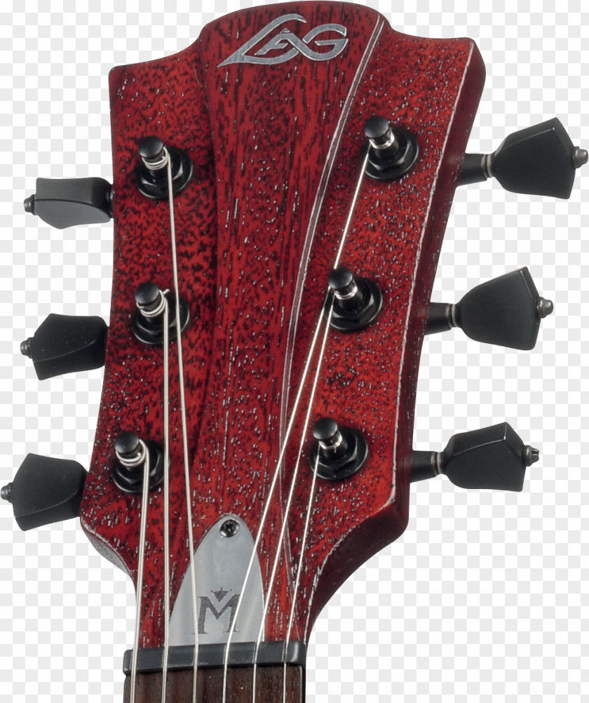 Bass Guitar Acoustic-electric Lag PNG
