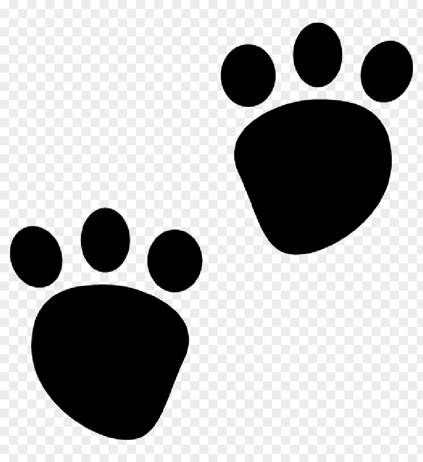 Dog Paw Clip Art PNG