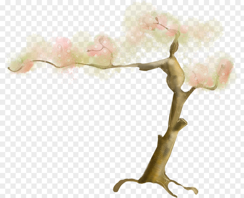 Tree Clip Art PNG