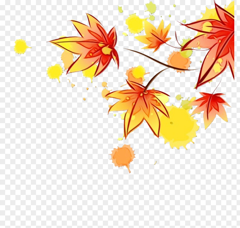 Wildflower Maple Autumn Leaf Drawing PNG