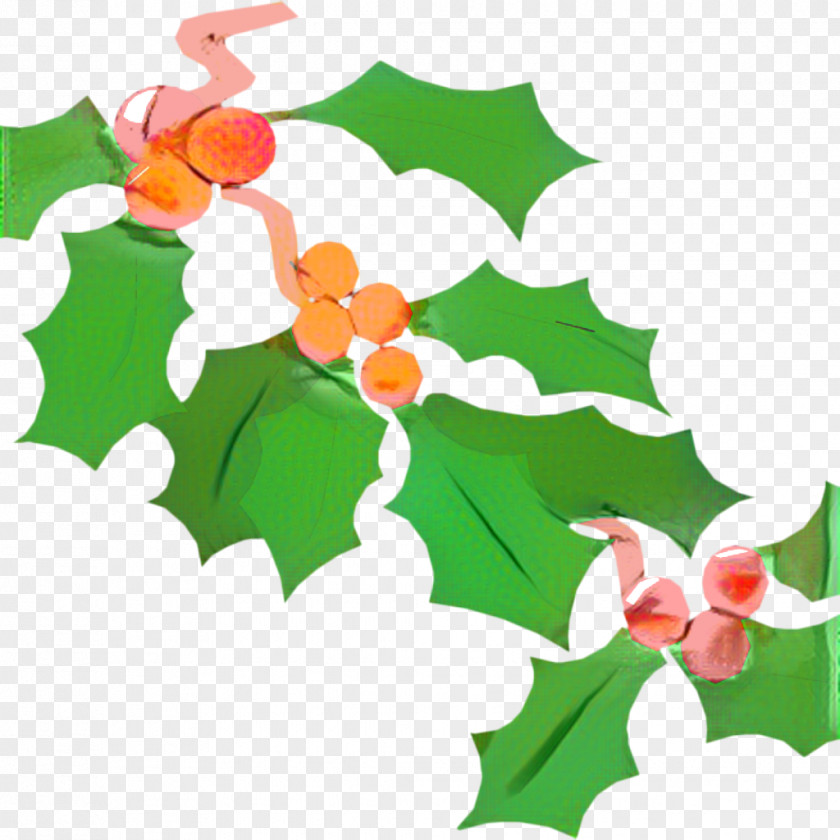 Flower Plant Christmas Clip Art PNG