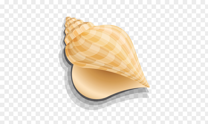 Golden Conch Seashell Computer Graphics PNG