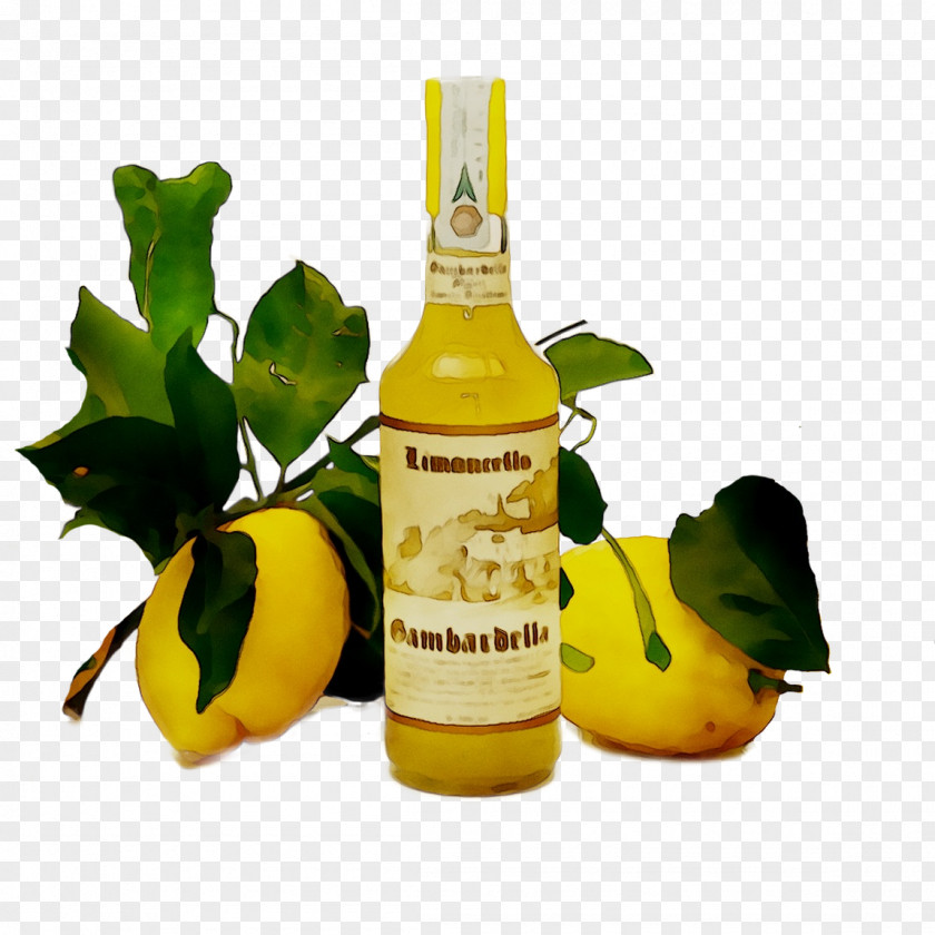 Limoncello Liqueur Rosolio Infusion Cocktail PNG