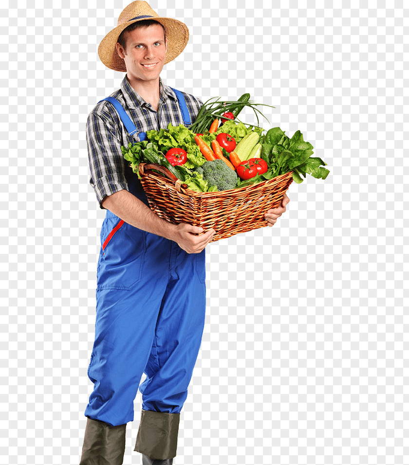 Vegetable Organic Food Farmer Agriculture Farming PNG