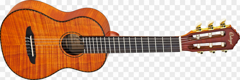Amancio Ortega Ukulele Acoustic Guitar Musical Instruments String PNG