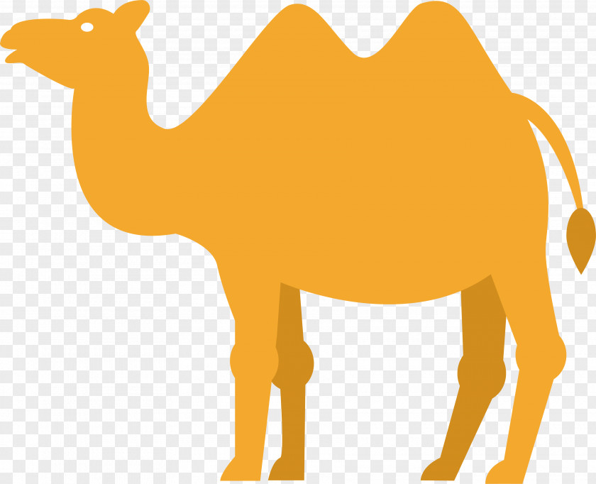Camel In The Desert Dromedary Clip Art PNG