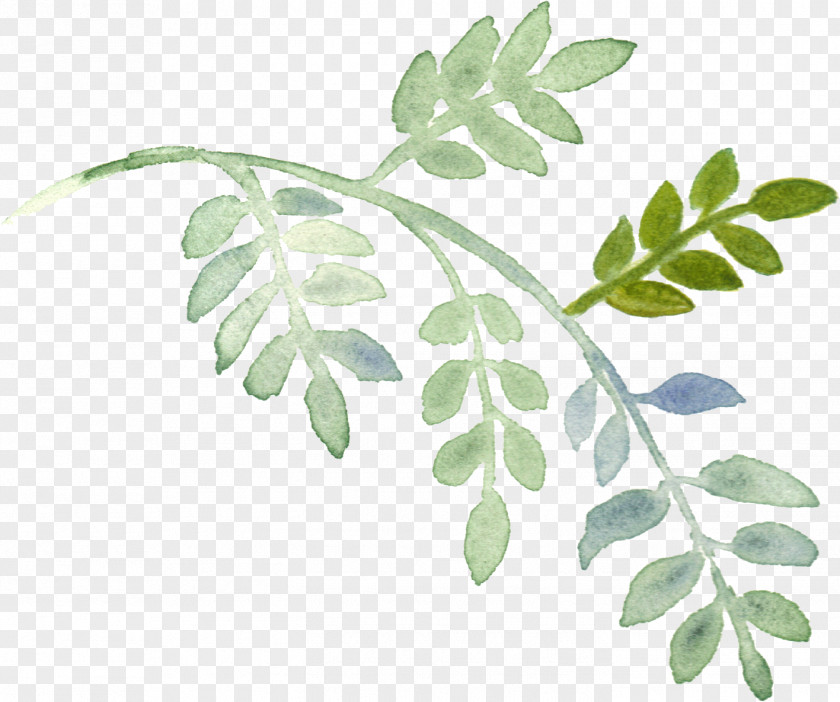 Hand-painted Watercolor Leaves Plant Download Painting PNG