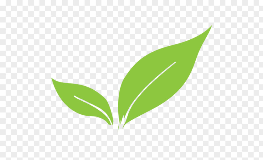 Logo Leaf Plant Stem Europe 0 PNG
