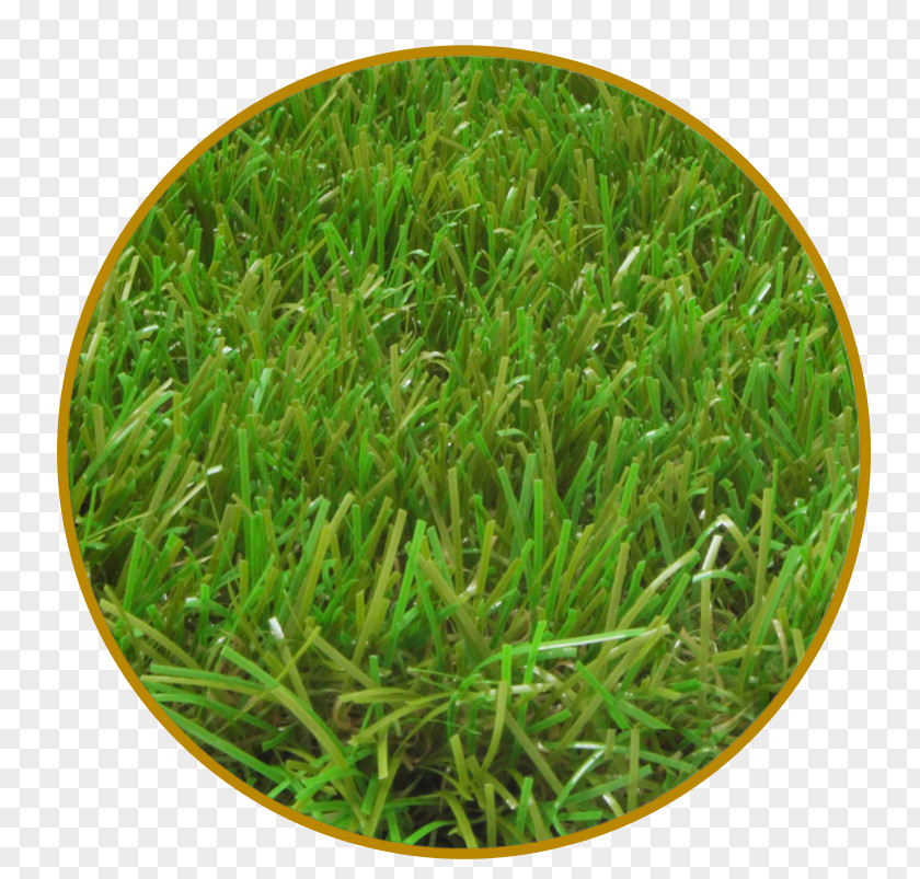 Luxuriance Italgreen SpA Artificial Turf Lawn Garden Grass PNG