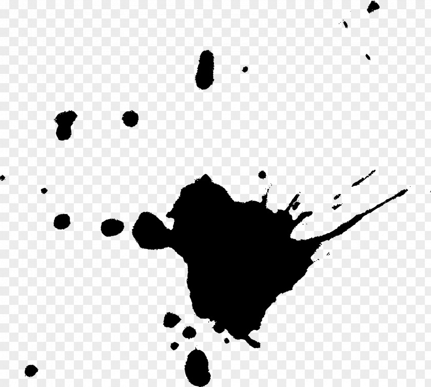 Paint Splash Black And White PNG