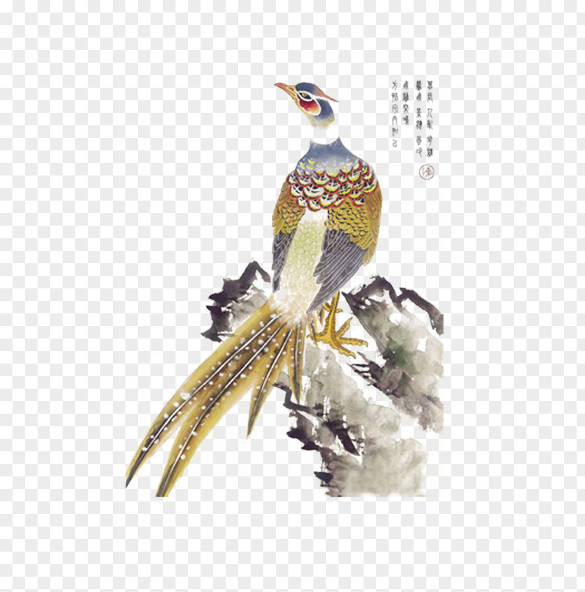 Peacock Bird-and-flower Painting Chinese Ink Wash Gongbi PNG