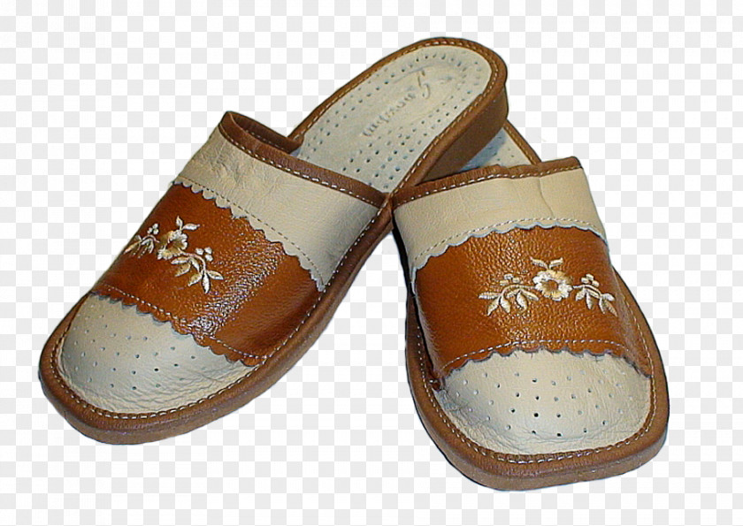 Sandal Slipper Shoe Brown PNG