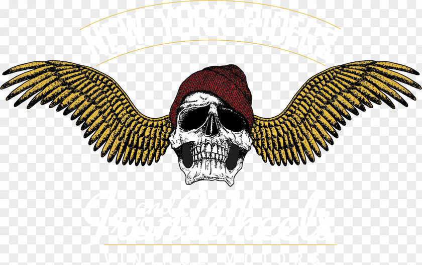 Skeleton Wing Vector Skull Illustration PNG