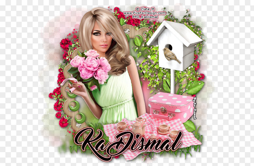 Wish Upon A Star Frames Floral Design Pink M Doll PNG