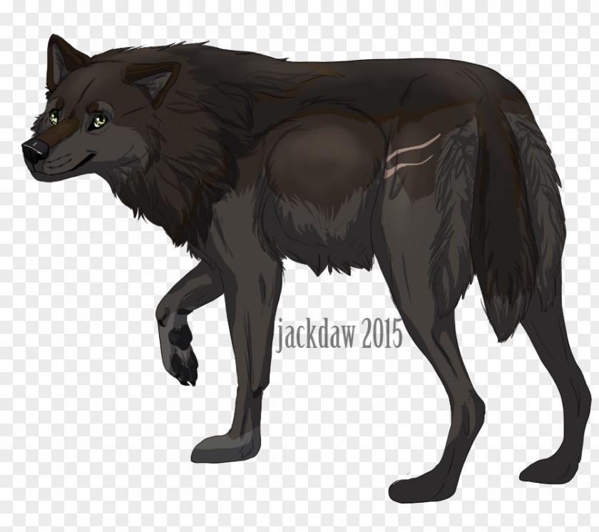 Wolf Snout Wildlife Fur Character PNG