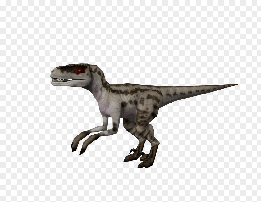 Youtube Velociraptor Jurassic Park: Operation Genesis World Evolution Tyrannosaurus YouTube PNG