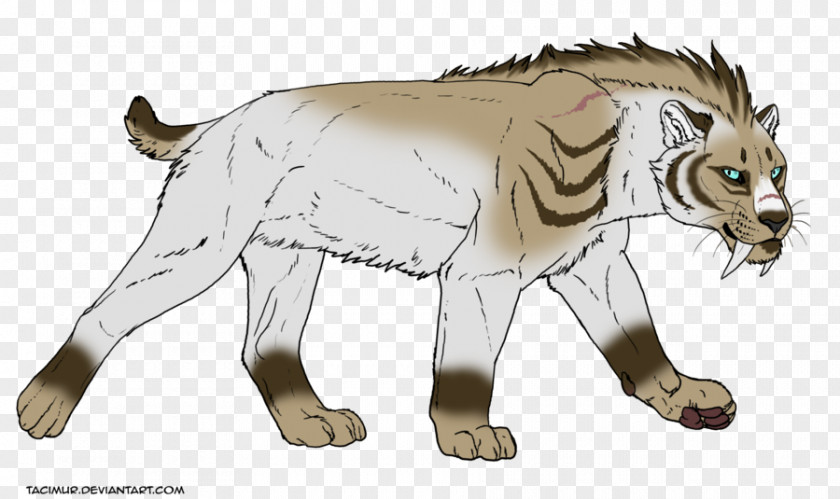 Cat Saber-toothed Tiger Lion Felidae PNG