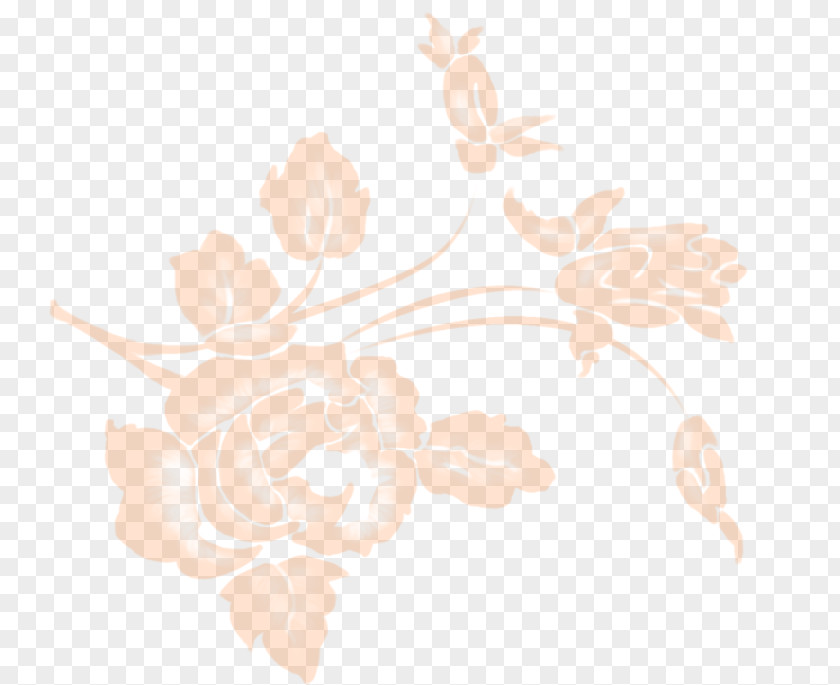 Design Petal Rose Family Floral Pattern PNG