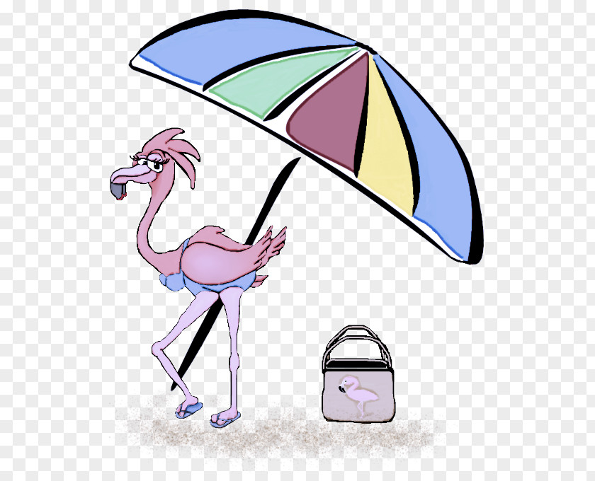 Flamingo PNG