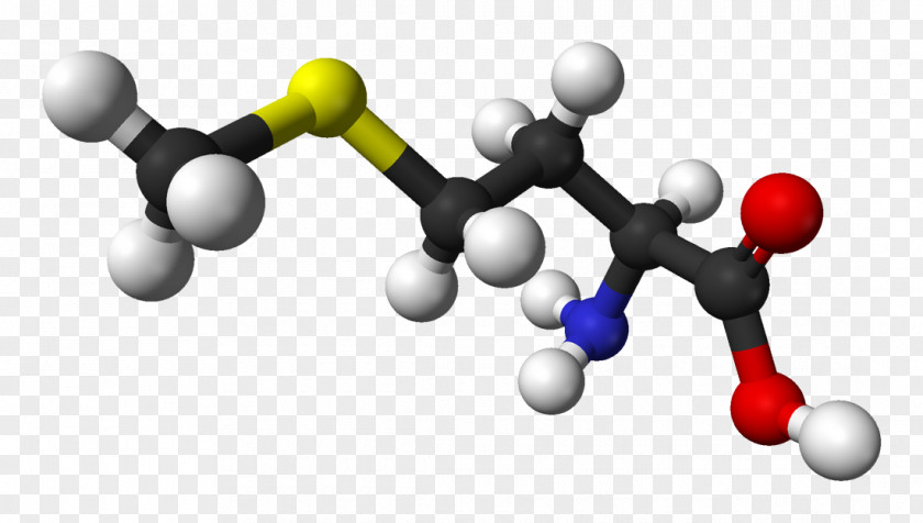 L Methionine Essential Amino Acid Chemistry PNG