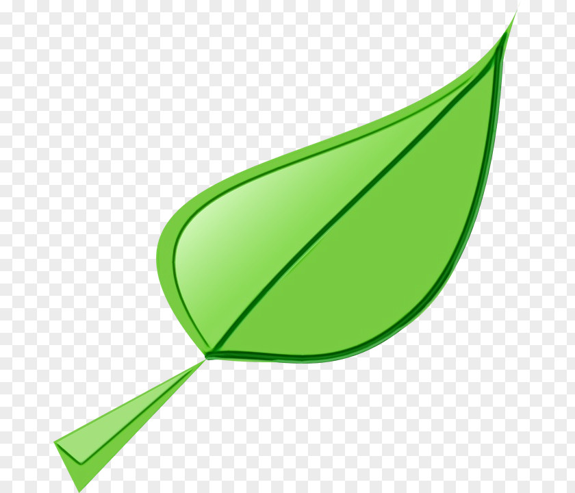 Logo Plant Leaf Green Clip Art Line PNG