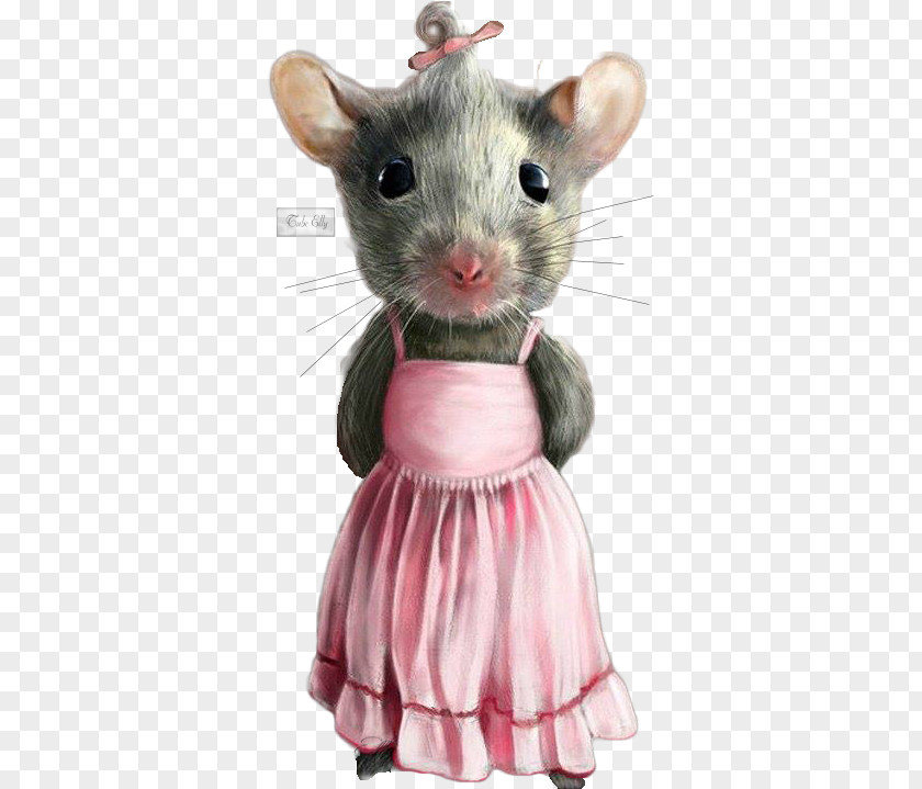 Mouse Computer Gerbil Rat PNG