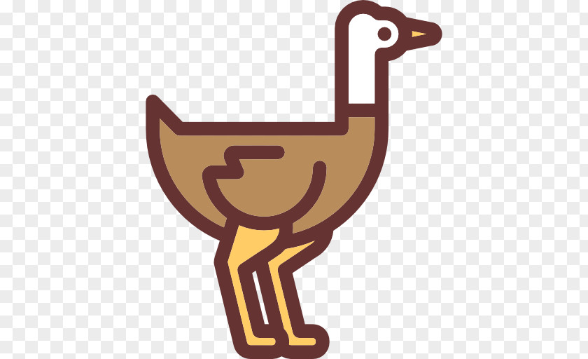 Ostrich Disney's Animal Kingdom Common Computer Icons Wildlife PNG