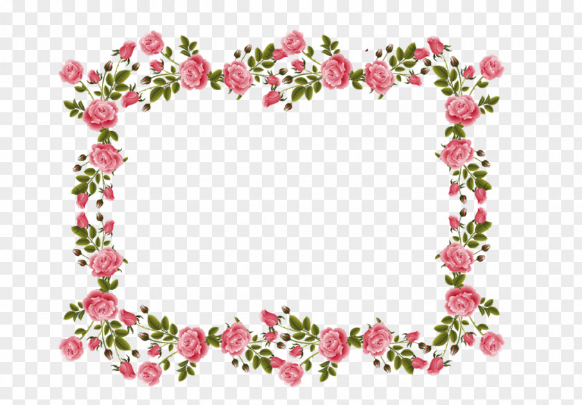 Border Floral Design Rose Pink Flower Clip Art PNG