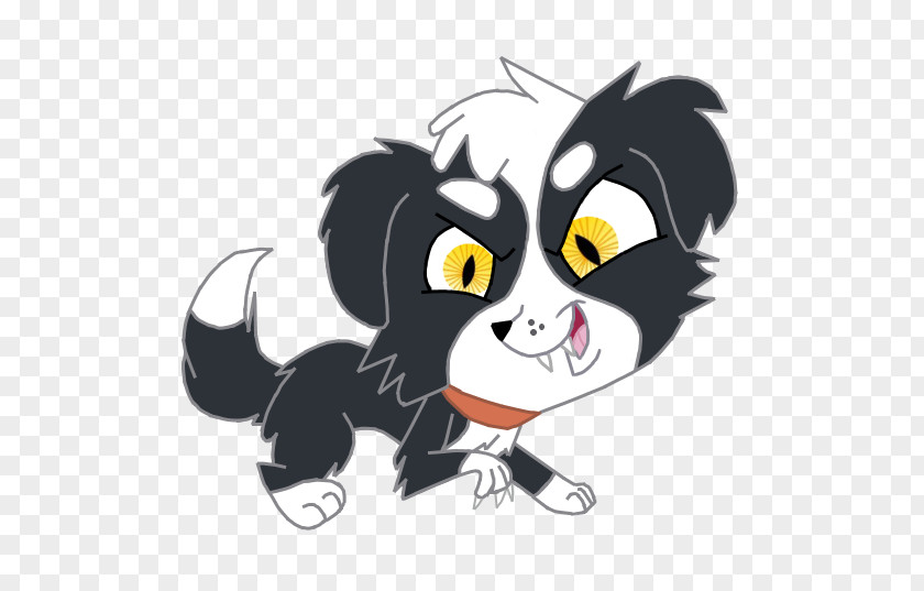 Cat Border Collie Rough Whiskers PNG