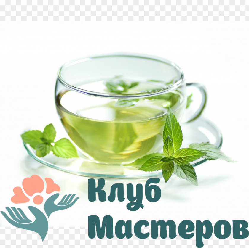Green Tea Matcha Weight Loss White PNG