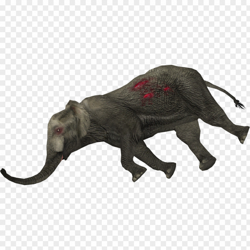 Holocene Animal Animals Extinct Indian Elephant African PNG