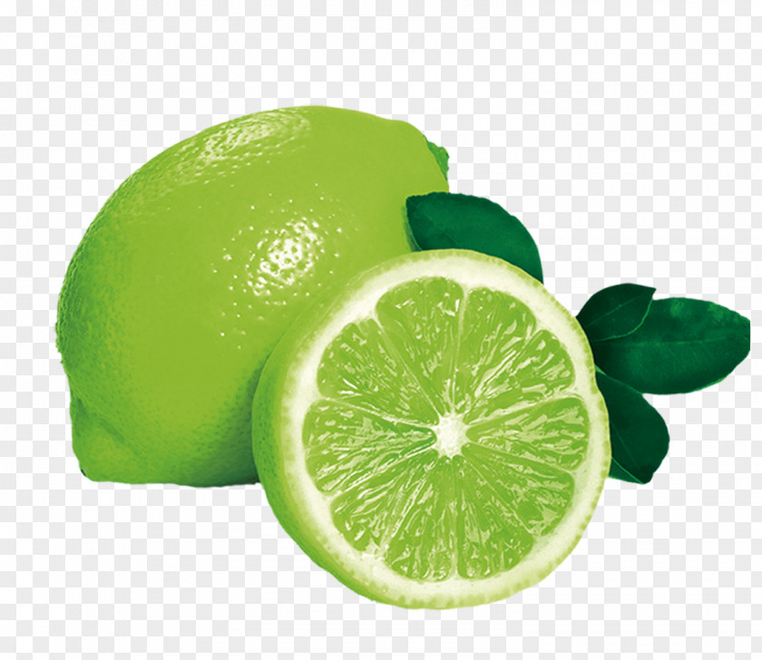 Lime Lemon-lime Drink Juice Fruit PNG