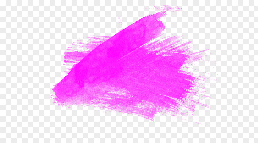 Paint Paintbrush Painting Drawing PNG
