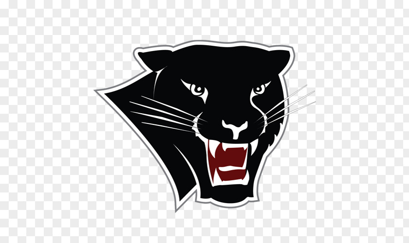 Panther StadiumAmerican Football FIT Florida Tech Panthers Women's Basketball Men's Institute Of Technology PNG