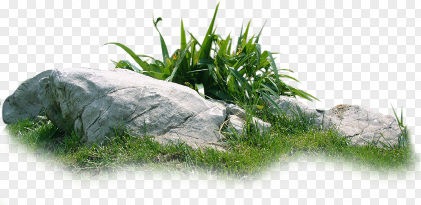 Rock Grass Material Download Landscape PNG