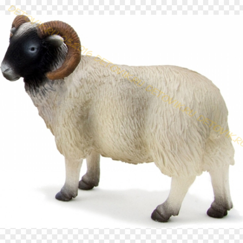 Sheep Scottish Blackface Merino Cattle Farm Toy PNG