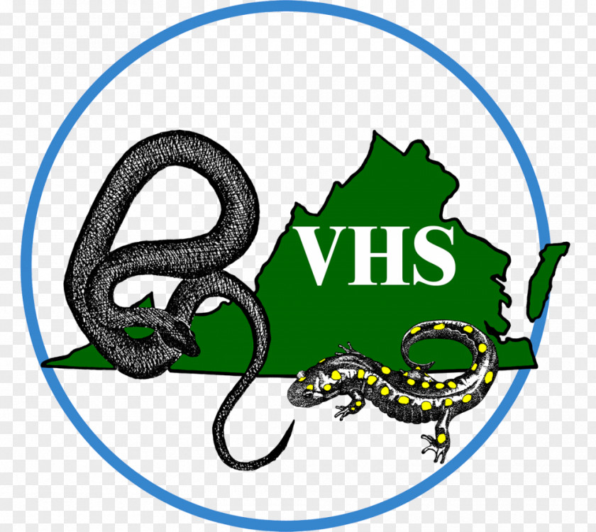 Snake Virginia Reptile Herpetological Society Herpetology PNG