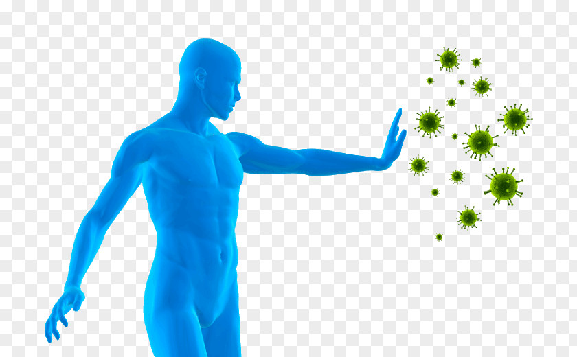 Antibiotics Clip Art Immune System Preventive Healthcare Openclipart Image PNG