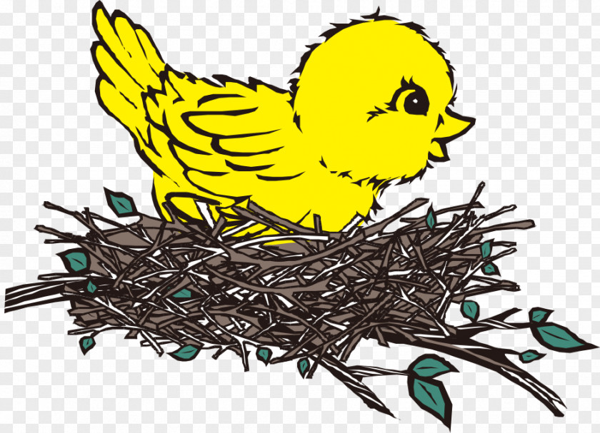 Birdhouses Button Bird Nest Clip Art Coloring Book PNG