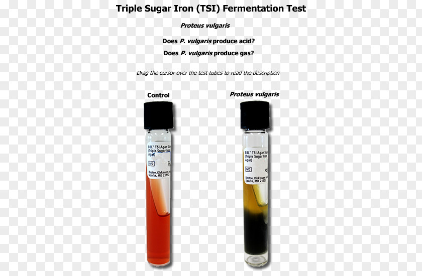 Design Test Tubes PNG