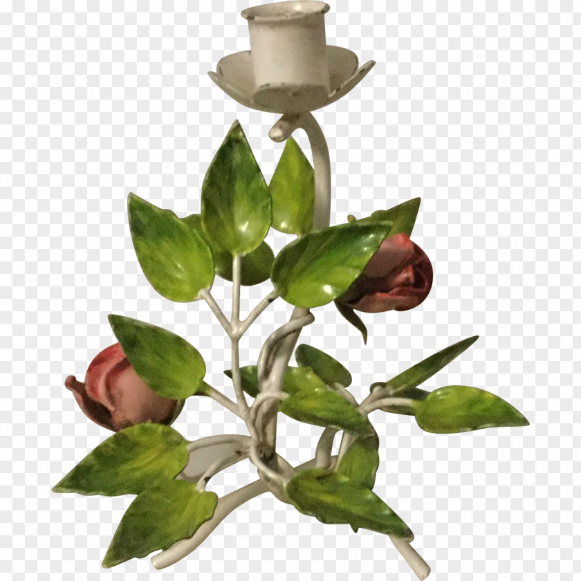 Flower Flowerpot Plant Stem Leaf Flowering PNG