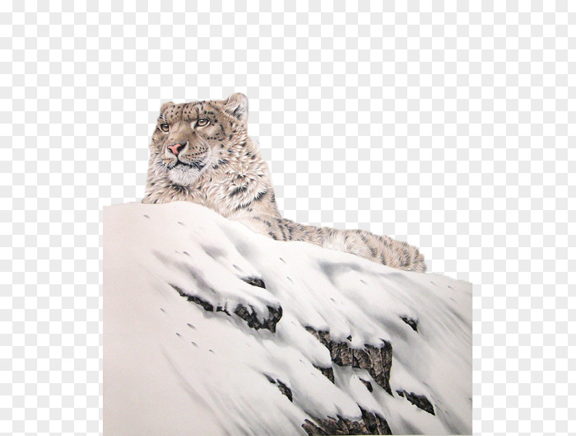 Snowflakes On The Snow Lying Leopard Tiger Lion PNG