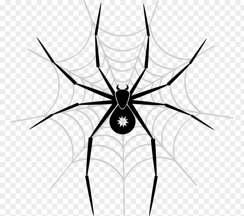Spider Spider-Man Vector Graphics Web PNG