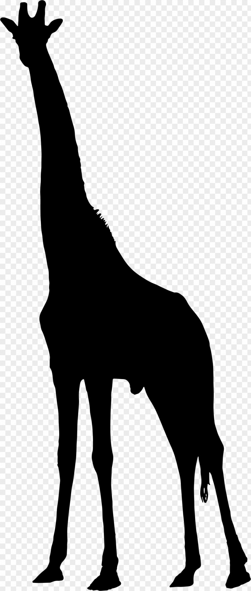 Tall And Big Silhouette Clip Art PNG