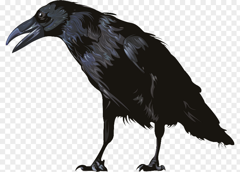 The Crow American Graphics Software PNG