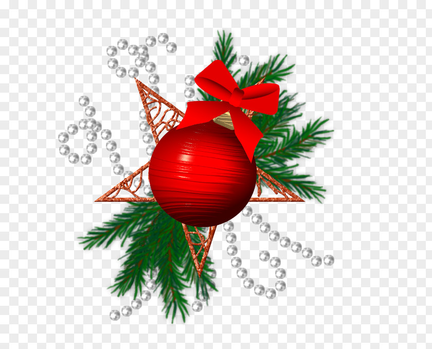 Christmas Ornament Branching PNG